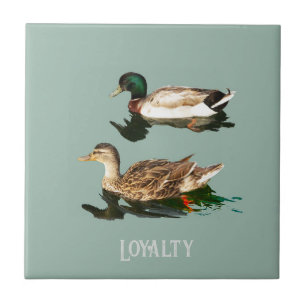 Ducks mallards ceramic tile
