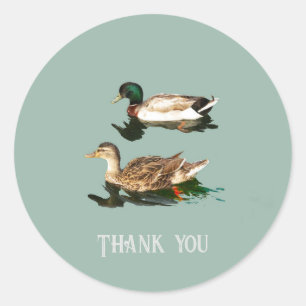 Ducks mallards classic round sticker