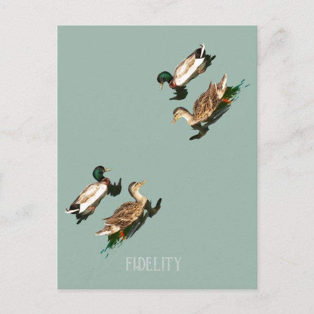 Ducks mallards edible frosting rounds holiday postcard (Front)