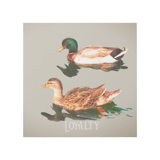 Ducks mallards gallery wrap (Front)