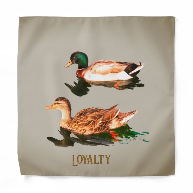 Ducks mallards. Loyalty Bandana (Front)