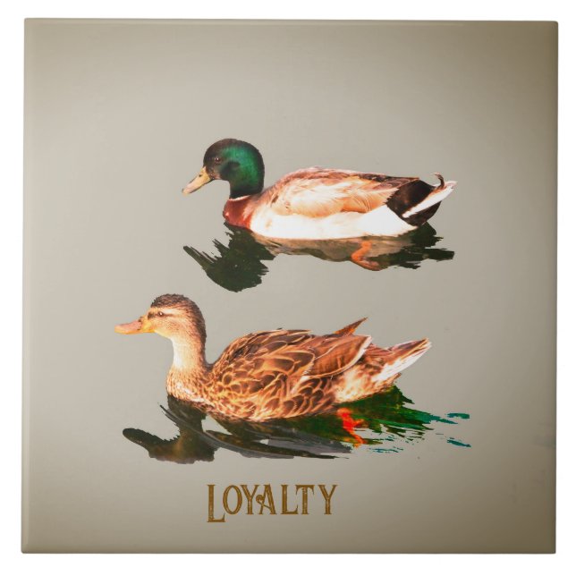 Ducks mallards. Loyalty Ceramic Tile (Front)