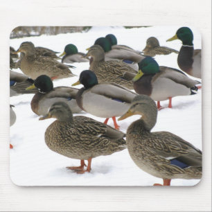 Ducks! Mousepad