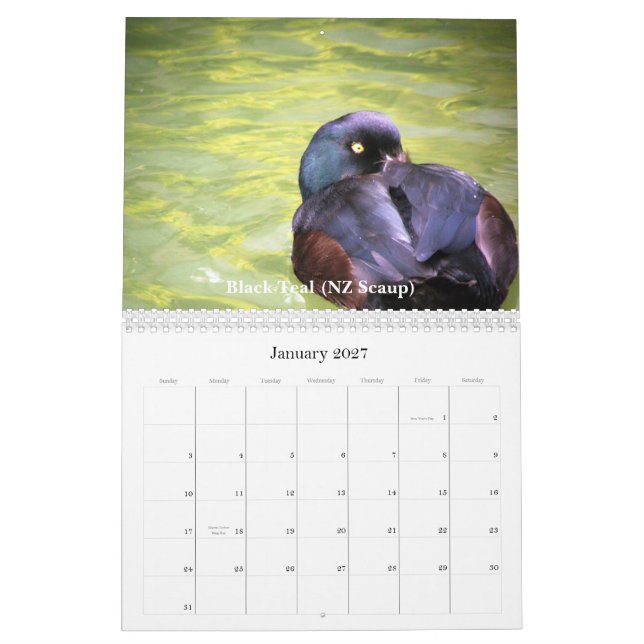 Ducks of New Zealand Calendar (Jan 2027)