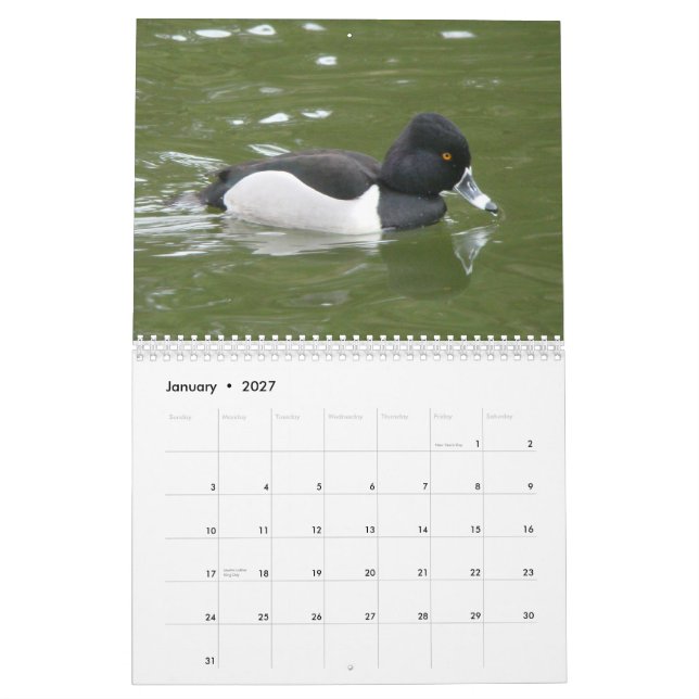 Ducks of North America, 2011 Calendar (Jan 2027)