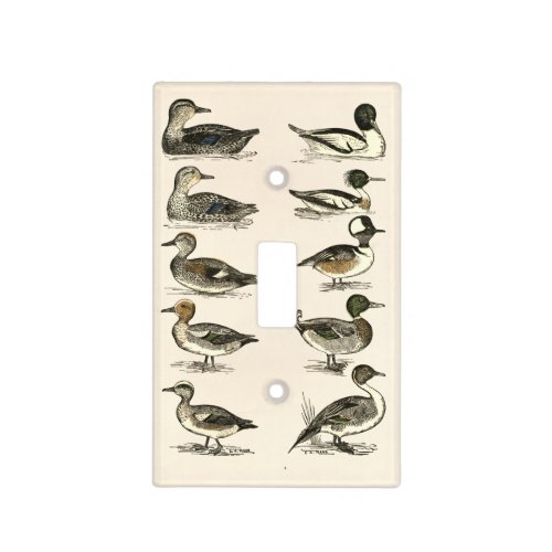Ducks of North America Illustrations Light Switch Cover