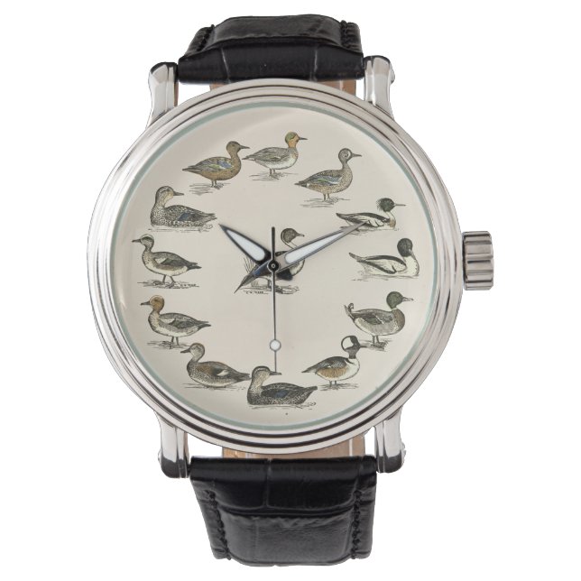 Ducks of North America Illustrations Watch (Front)