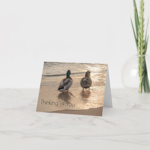 Ducks on Beach Thinking of You notecard