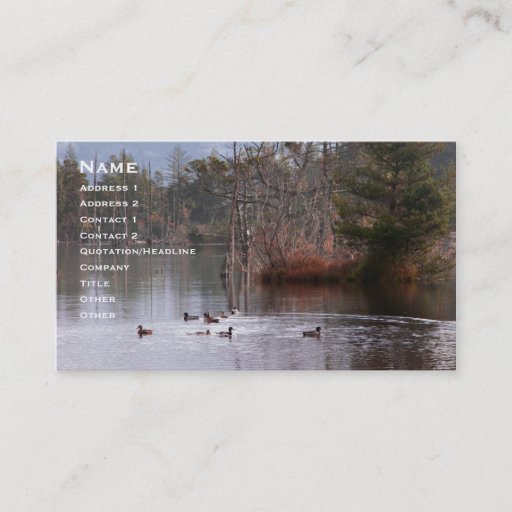 Customizable Ducks On Empire Lake Business Card Templates