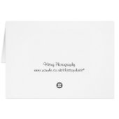 Ducks on Ice (Back Horizontal)