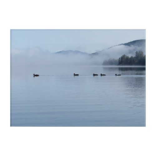Ducks on Lake at Dawn Acrylic Print
