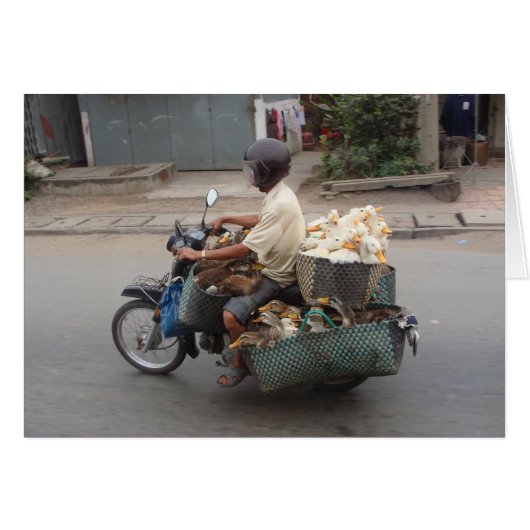 Ducks on motorbike-Vietnam (Front Horizontal)