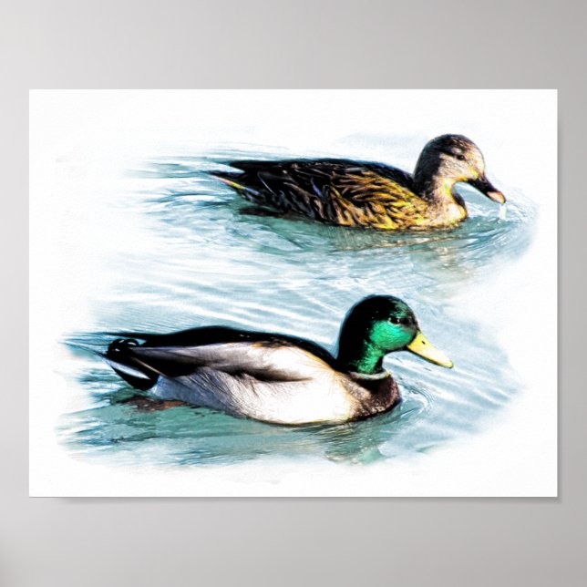 Ducks on the Lake Poster (Front)