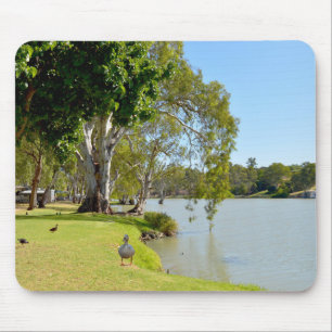Ducks On The River Murray Australia, Mouse Pad