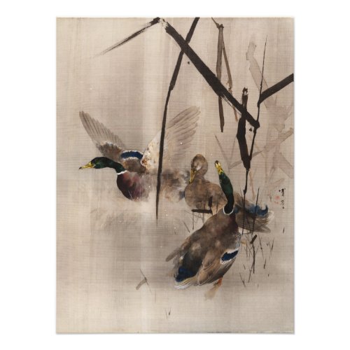 Ducks on the Water Japanese Art Waterfowl Painting Photo Print