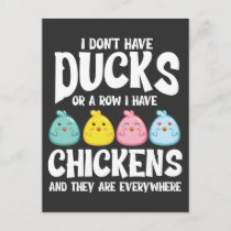 Ducks Or A Row I Have Chickens Everywhere Postcard