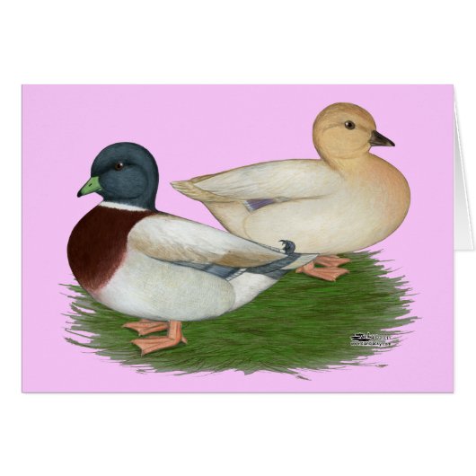 Ducks:  Pastel Calls Cards (Front Horizontal)