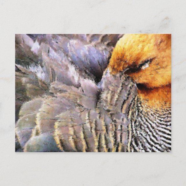 DUCKS POSTCARD (Front)