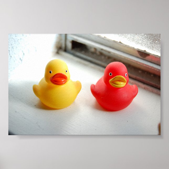Ducks Poster (Front)