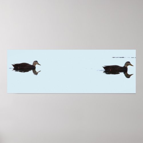 Ducks Poster