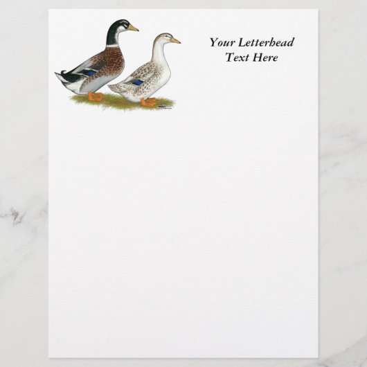 Ducks: Silver Appleyard (Front)