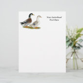 Ducks: Silver Appleyard (Standing Front)