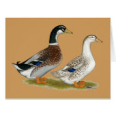 Ducks:  Silver Appleyard (Front Horizontal)