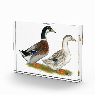 Ducks: Silver Appleyard Acrylic Award