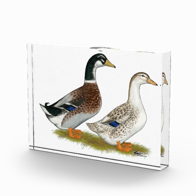 Ducks:  Silver Appleyard Acrylic Award (Right)