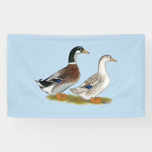 Ducks  Silver Appleyard Banner