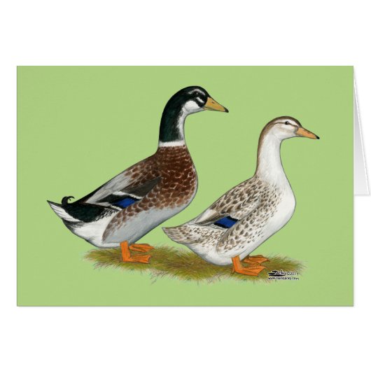 Ducks: Silver Appleyard Cards (Front Horizontal)