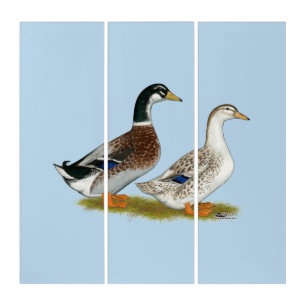 Ducks:  Silver Appleyard Triptych