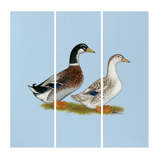 Ducks:  Silver Appleyard Triptych (Front)