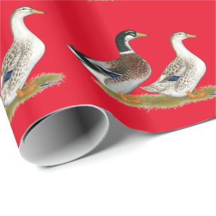 Ducks:  Silver Appleyard Wrapping Paper