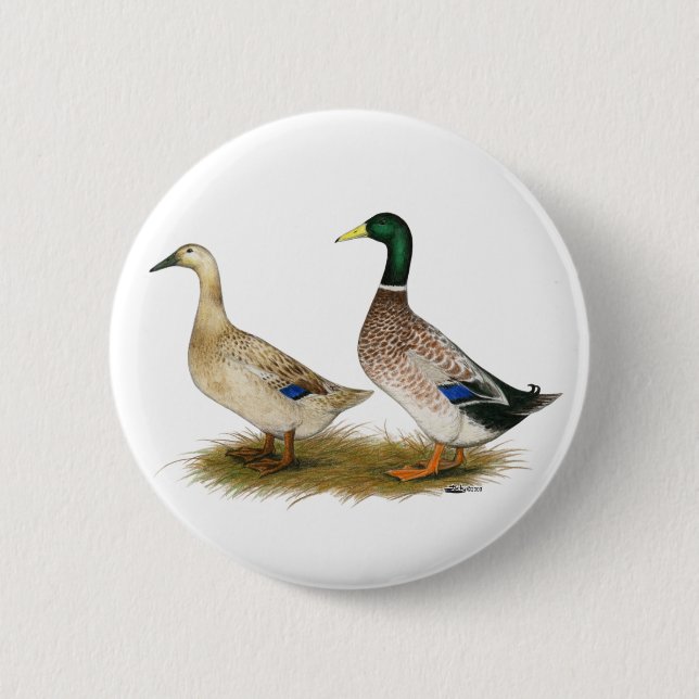 Ducks:  Silver Welsh Harlequin Pinback Button (Front)