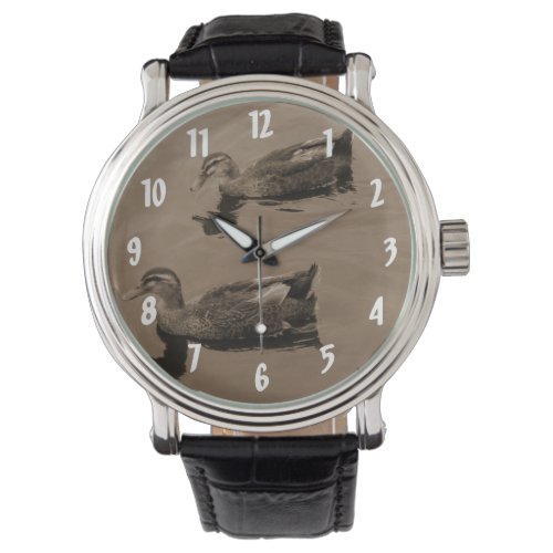 Ducks Tinted Watch