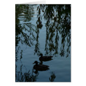 Ducks Under the Willow (Front)