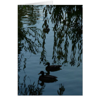Ducks Under the Willow Cards