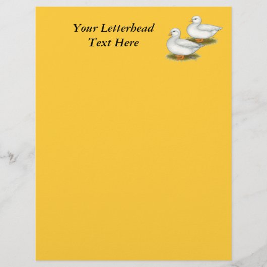 Ducks: White Calls (Front)