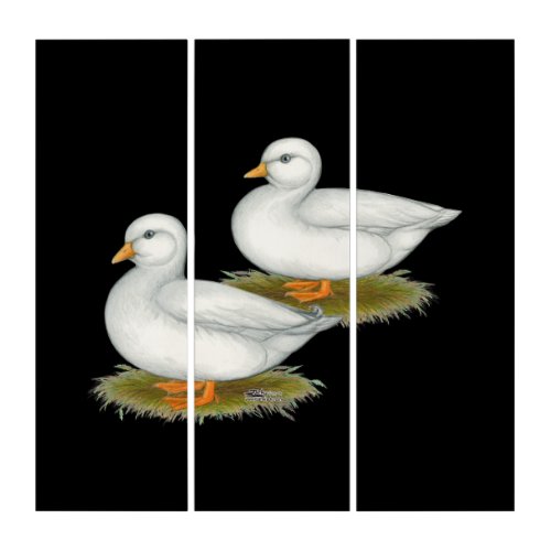 Ducks  White Calls Triptych