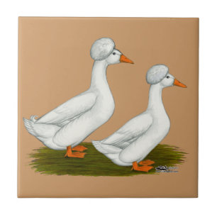 Ducks: White Crested Ceramic Tile