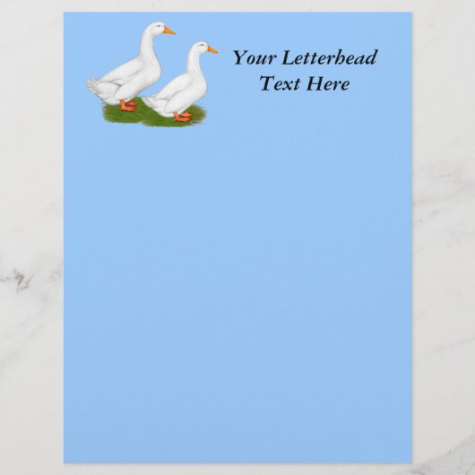 Ducks: White Pekins (Front)
