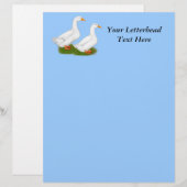 Ducks: White Pekins (Front/Back)