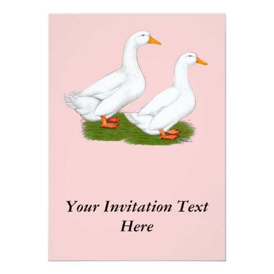 Ducks: White Pekins Card