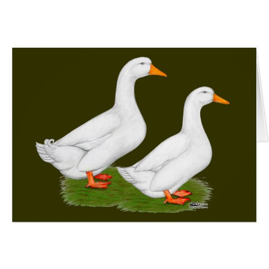Ducks: White Pekins Cards (Front Horizontal)