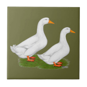 Ducks:  White Pekins Tile