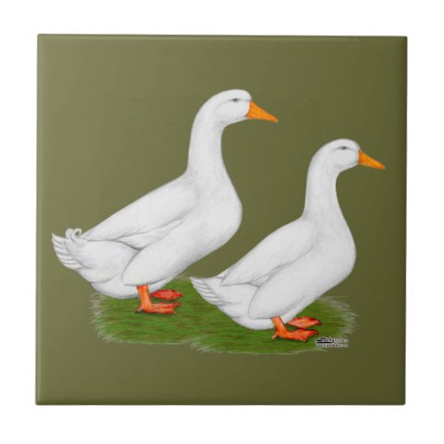 Ducks  White Pekins Tile