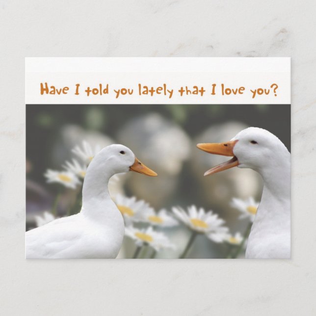 DucktoDuckLove you Postcard (Front)