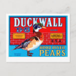 Duckwall Hood River Pears Postcard