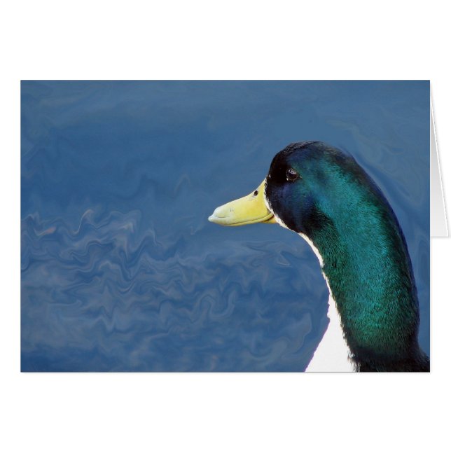 Ducky Cards (Front Horizontal)